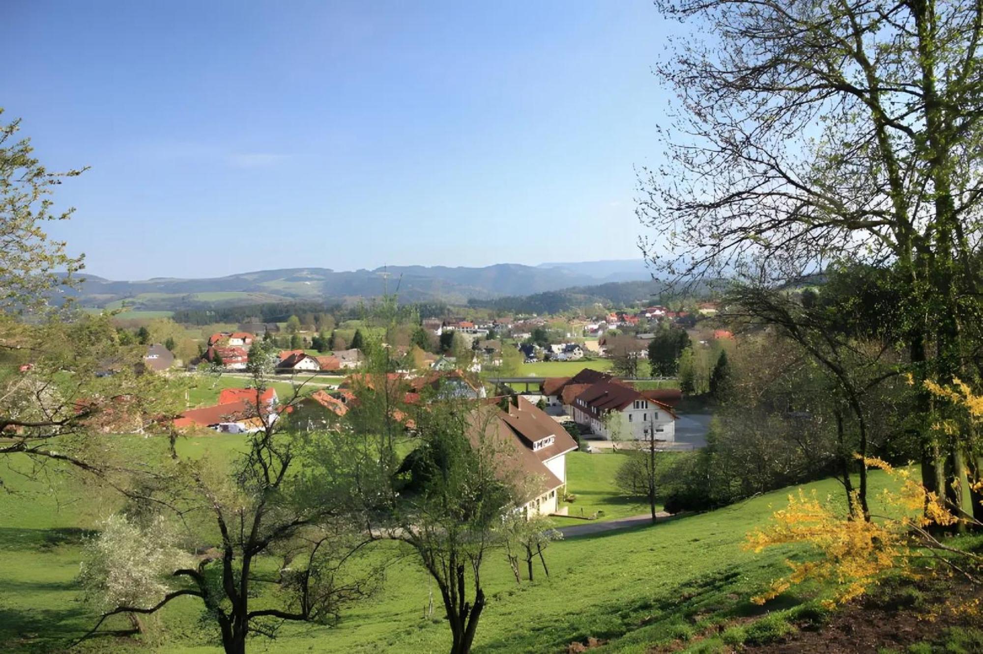Апартаменты Ferien Auf Dem Steingrubenhof Санкт-Петер Экстерьер фото