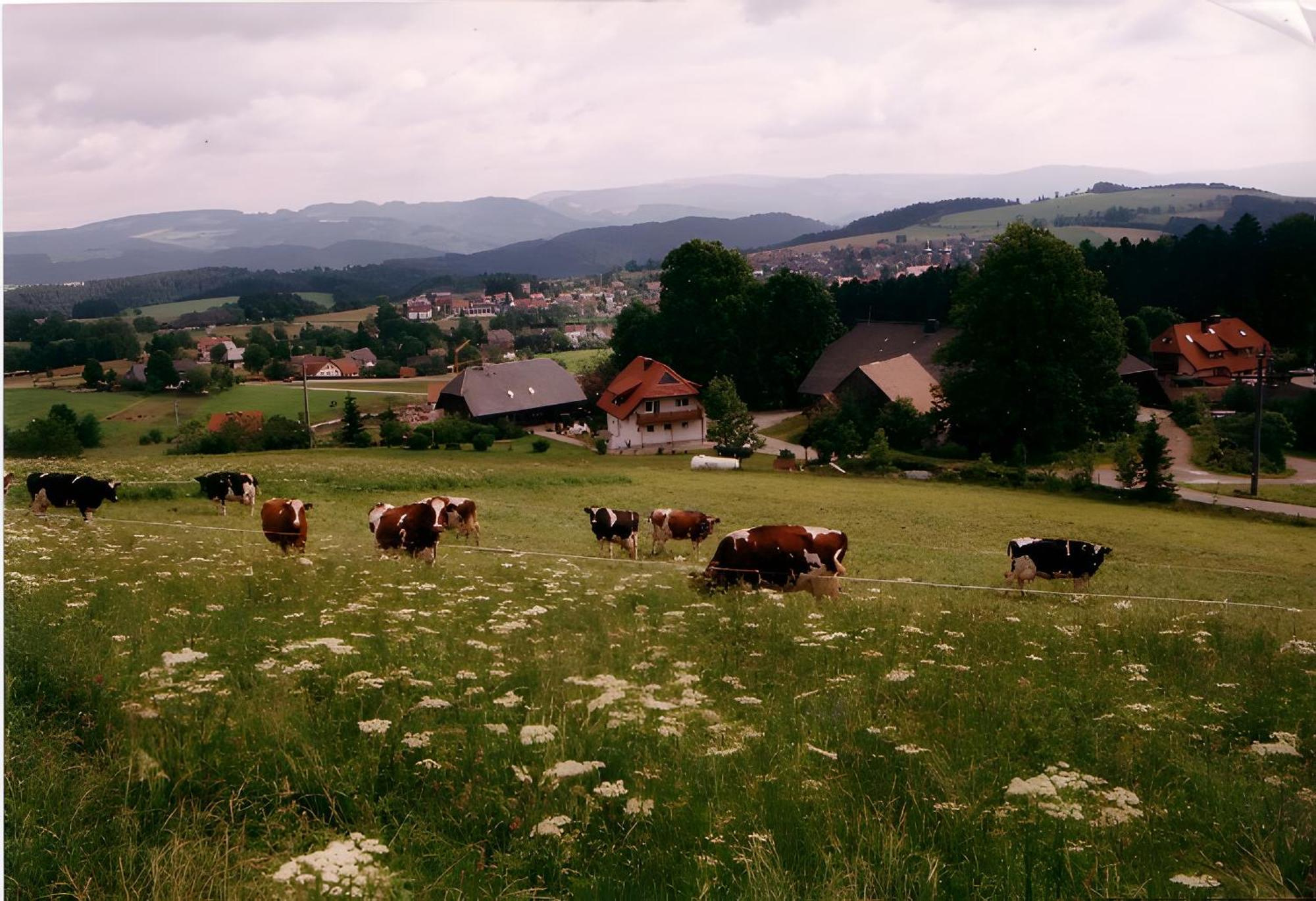 Апартаменты Ferien Auf Dem Steingrubenhof Санкт-Петер Экстерьер фото